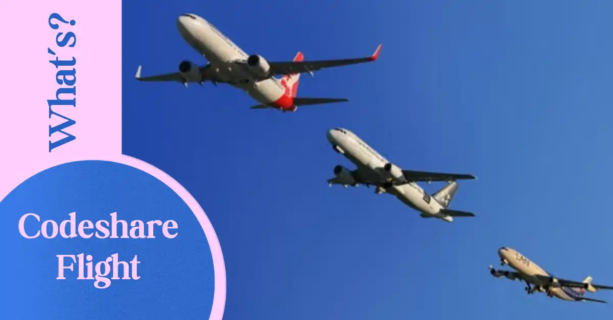 What Is a Codeshare Flight? A Guide for Travellers